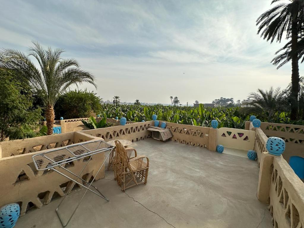Villa Rebecca Professor'S Paradise Luxor Exterior photo